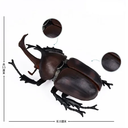 Plastic Simulation Insect Specimen Butterfly Small Animal Model Long Halberd Big Pocket Worm Knows Specimen Beetle Dragonfly
