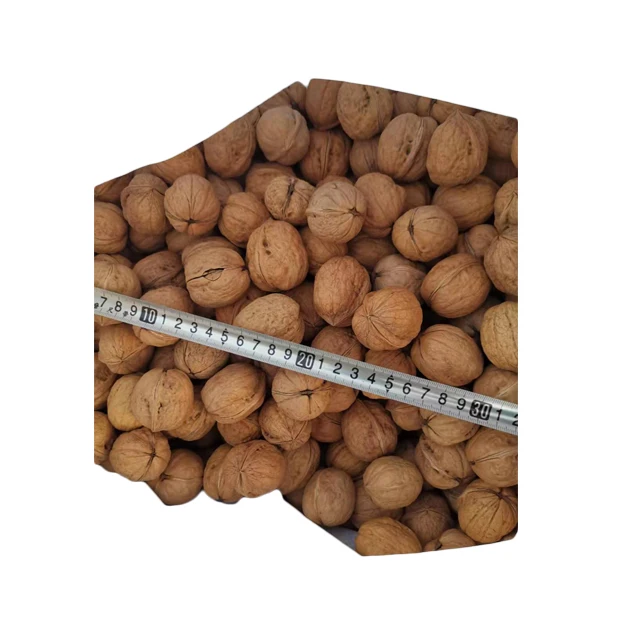 
Chinese xinjiang paper skin walnut inshell new stock high quality 