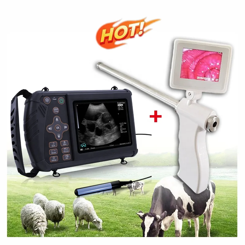 Digital Ai Cow Artificial Insemination Gun Camera + Portable Bovine Pregnancy Scanning Veterinary Ultrasound For Cattle