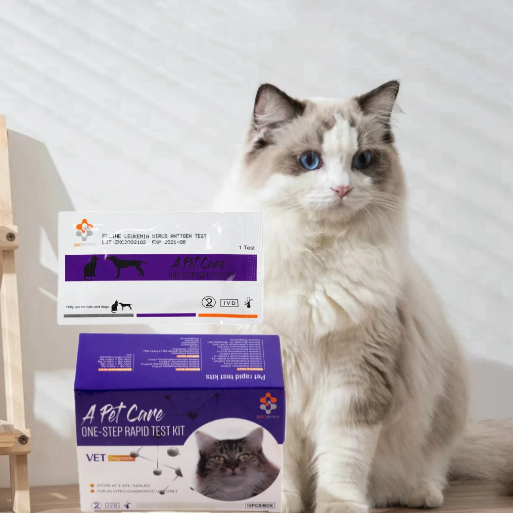 veterinary pet disease rapid cat test reagent feline animal ag kit vid for feline test kit FPV/FCOV/GIA