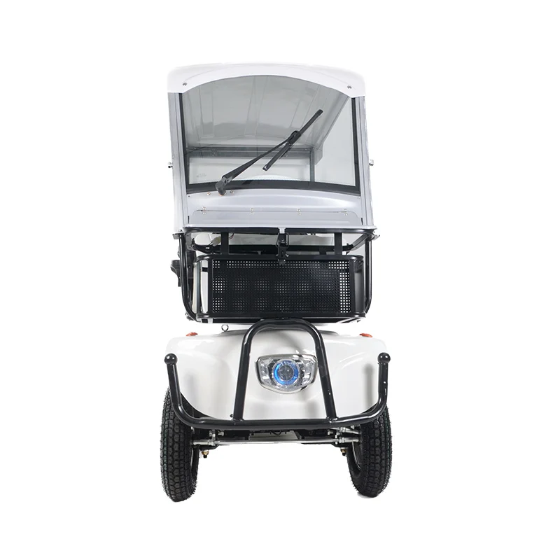 650W Chinese 2 seats 4 wheeled electric sightseeing car/family use quadricycle Passenger And Cargo Adult