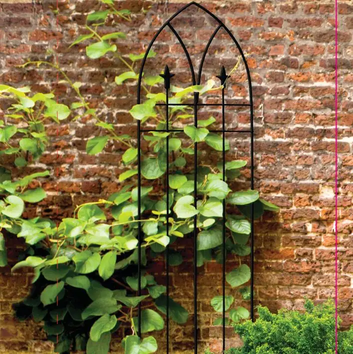 Grotall Garden Tall Metal Obelisk Trellis Plant Support For Climbing Plants Outdoor