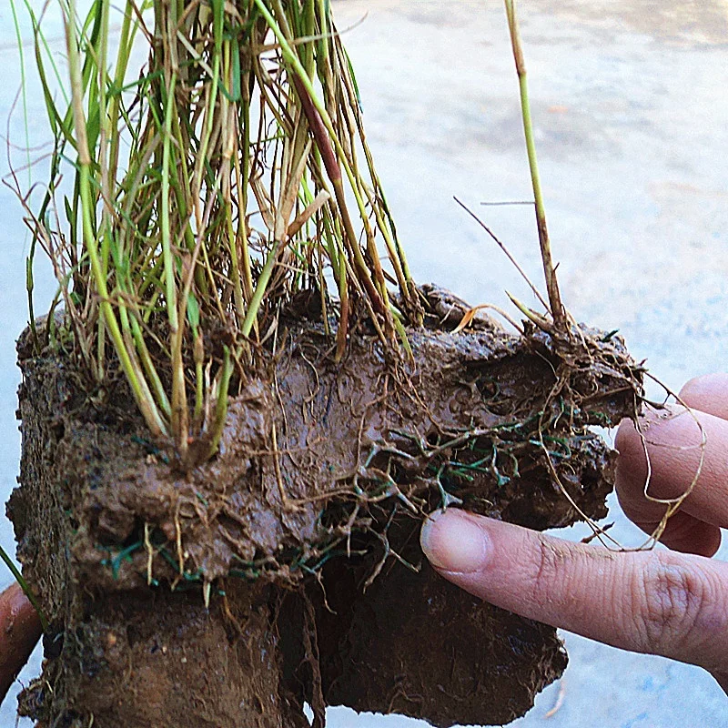 3D HDPE erosion control geomat for slope protection