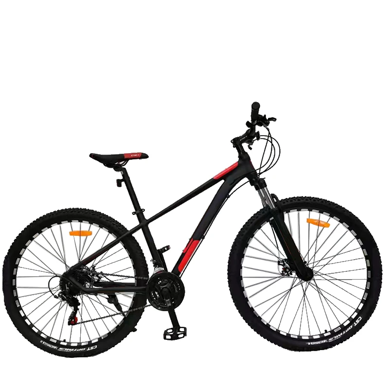 Wholesale high quality Sri Lanka price aluminium alloy frame CNC alloy  rims alloy fork Double Disc Brake 29 mountain bike