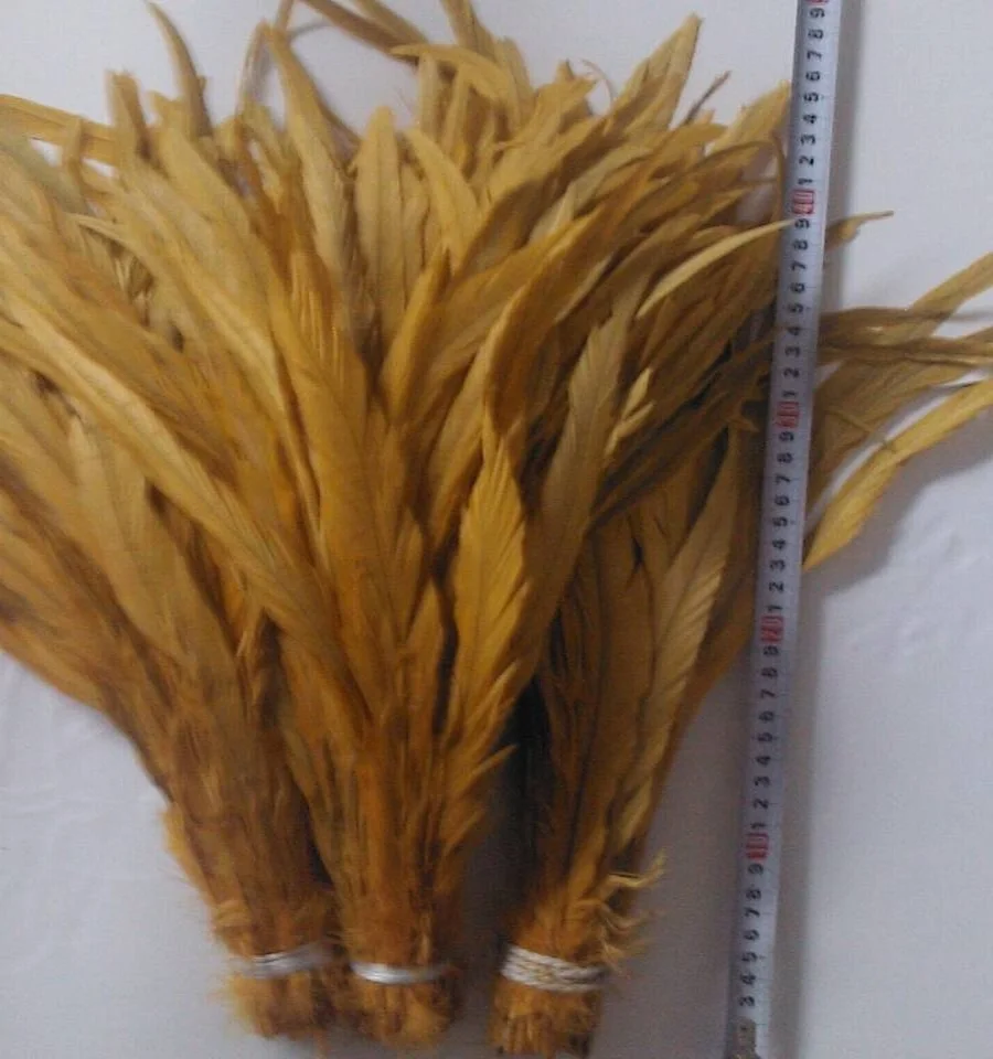 16-18 inch ( 40-45 cm) Long Rooster Tail Feathers for sale