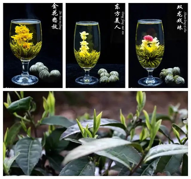 
2021 EU new blooms hand made blooming tea of jasmine and lily flavor 