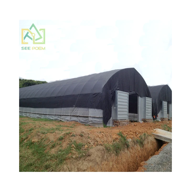 Wholesale customized cheap Mushroom with Light Deprivation single-span Agriculture Greenhouse for growing