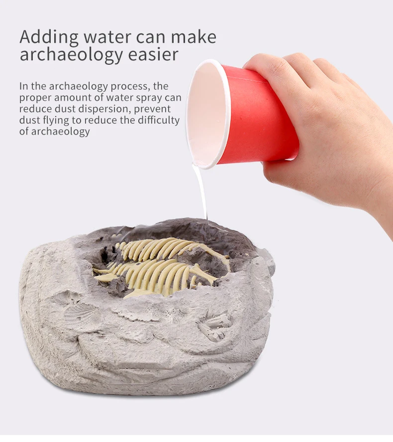 Dig Out Dinosaur Skeleton model Dino Fossil Dig Kit Dinosaur Excavation Fossil Digging Kit for kids