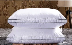 Modern pop pregnant woman pillow custom throw polyester pillow inner Hot Sale Luxury White Goose Down Standard Feather Pillow