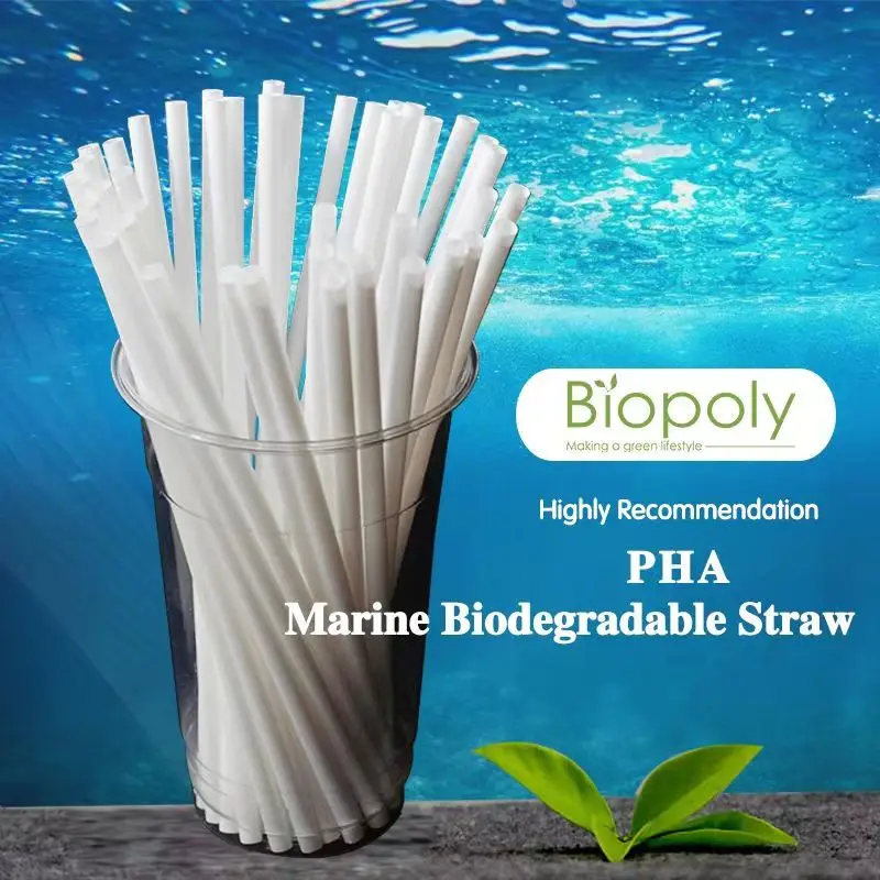 2024 New Product  PHA PLA Straws marine petroleum degrading microorganism Non-polluting water source