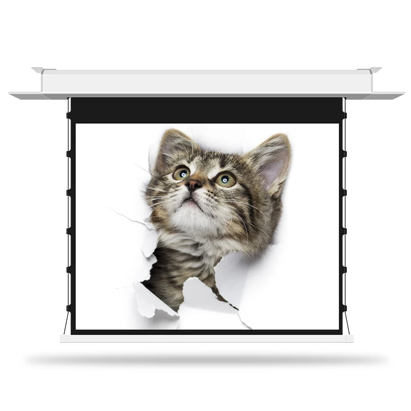 MGF 100 дюймовый моторизованный встраиваемый потолочный проекционный экран