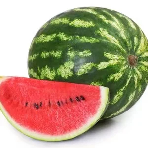 Fresh Watermelon 10kg Seasonal Thin-skinned Large Watermelon Ready to Pick Fresh Fruit Melon Produced in Malaysia