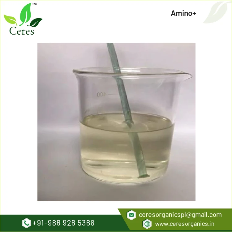 Top Supplier Highest Selling 100% Water Soluble Bacterial Protein Peptide Amino Acid Fertilizer