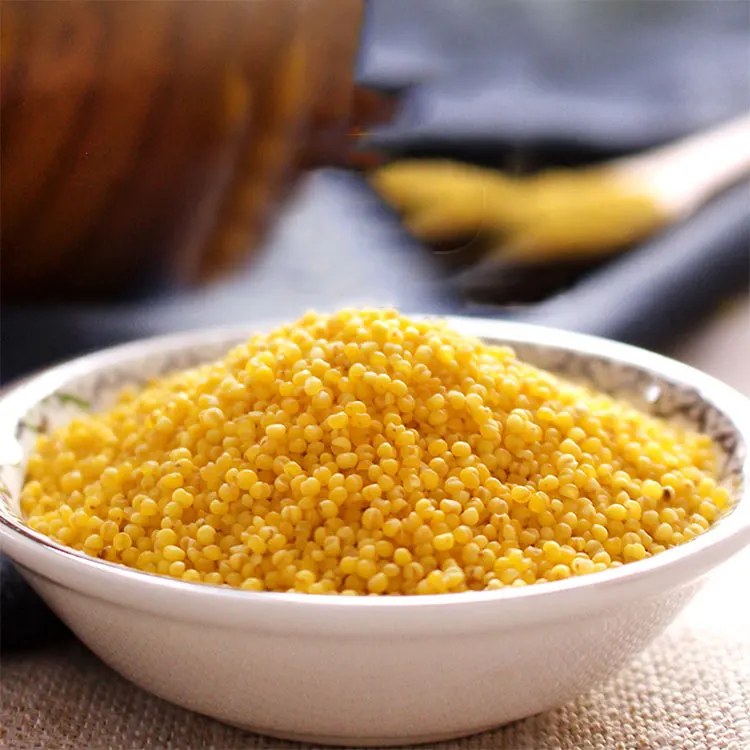 Price Of 100% Natural Protein-Rich Yellow