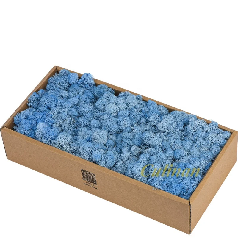 Culinan Wholesale 500g 8-9Cm Real Sea Moss Natural Dried Reindeer Natural Preserved Moss For Moss Wall Decor