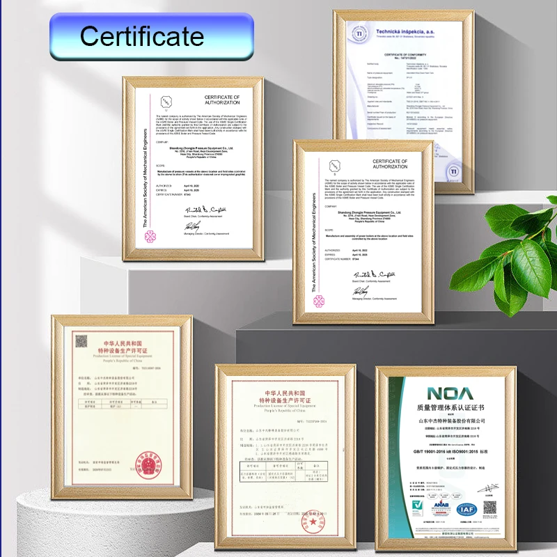 CJSE automatic biomass fired chain grate steam boiler for food processing