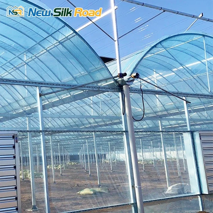 NSR Greenhouse Multi-Span Economical Plastic Tunnel Orangerie Greenhouse For Sale