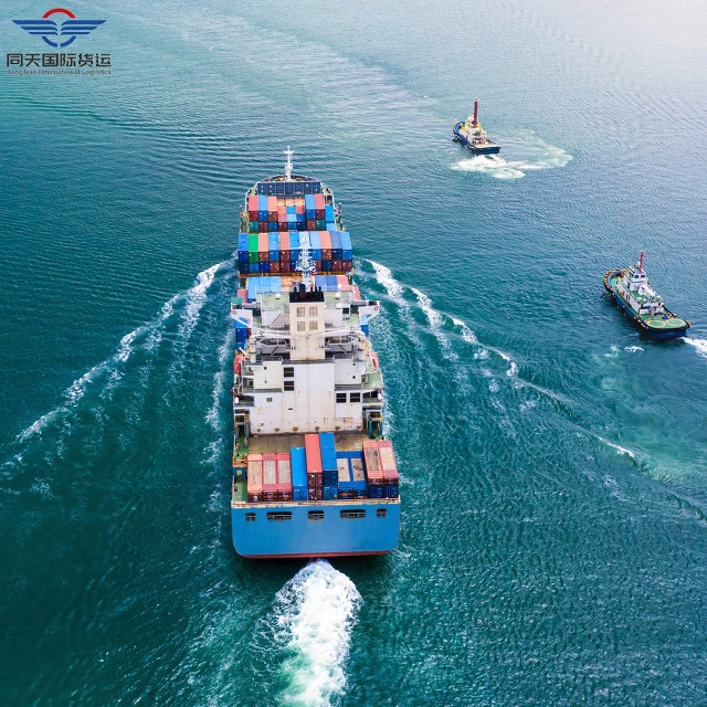 Yiwu в США морской экспедитор США время гарантии логистической компании