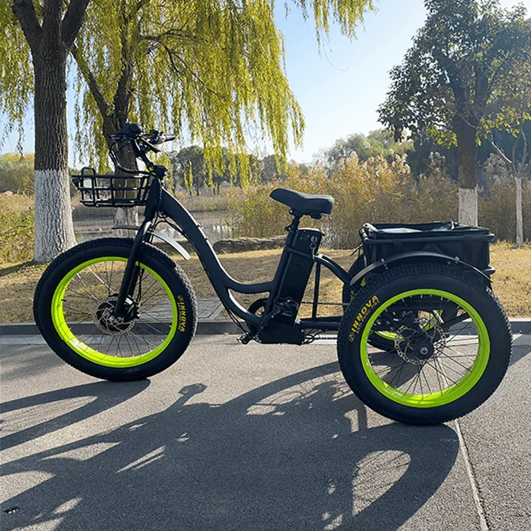 200Kgs Load 3 Wheel Fat Tire Electric Cargo Bike Tricycle Trike 48V 500W 750W 24 Inch Electric Bicycle Electric Cargo Bike