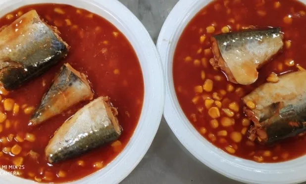 Factory  price canned fish healthy foods canned Mackerel in Tomato Sacue