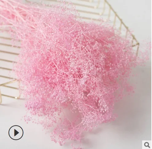 Оптовая продажа настоящие свежие и вечные консервированные цветы Babysbreath миллион
