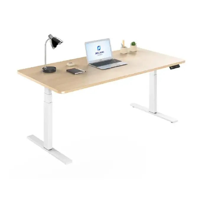 Factory direct sales Home Office Adjustable Lifting Desk - Ergonomic Modern Office Desk