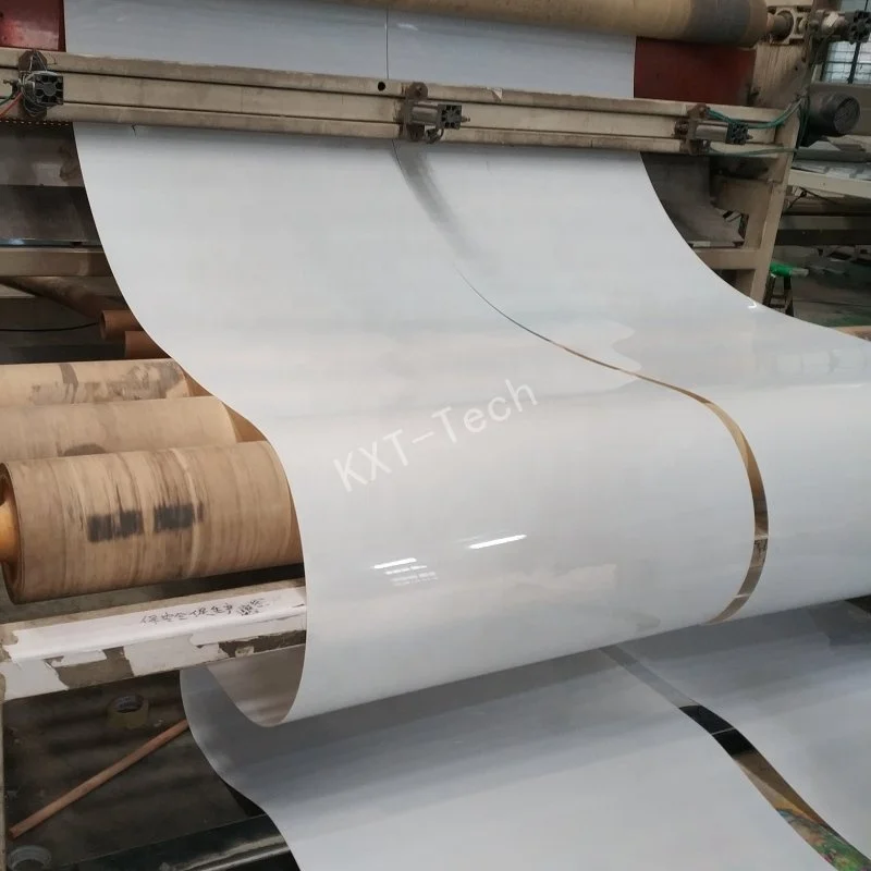 Great Quality PP Conveyor Manure Removal Belt Manure Collection Scraper Type Or Manure Conveyor Belts