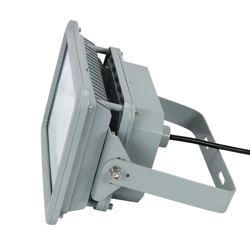 Hot Sale IP66 200W Explosive Proof  Emergency Explosion Proof Light Explosion Proof Lamp for Chemical Industry