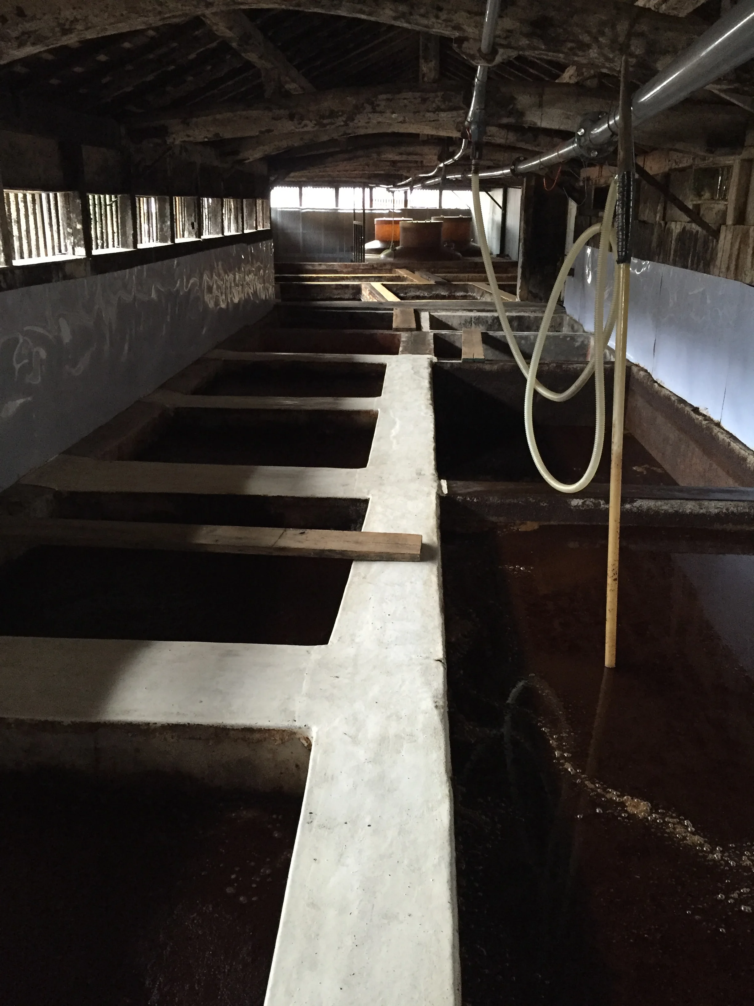 
Japan 100% Domestic Organic Soybeans Bottle Premium Dark Soy Sauce 