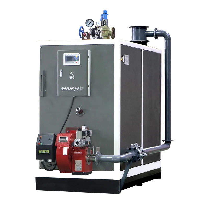 Beiste Y(Q)-2T  0.5 t 1t 1.5t 2t natural gas steam generator  LPG  steam boiler for food industry