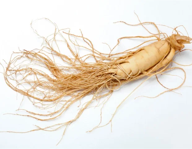 Fruiterco Ginseng Root Powder Ginseng Extract Powder