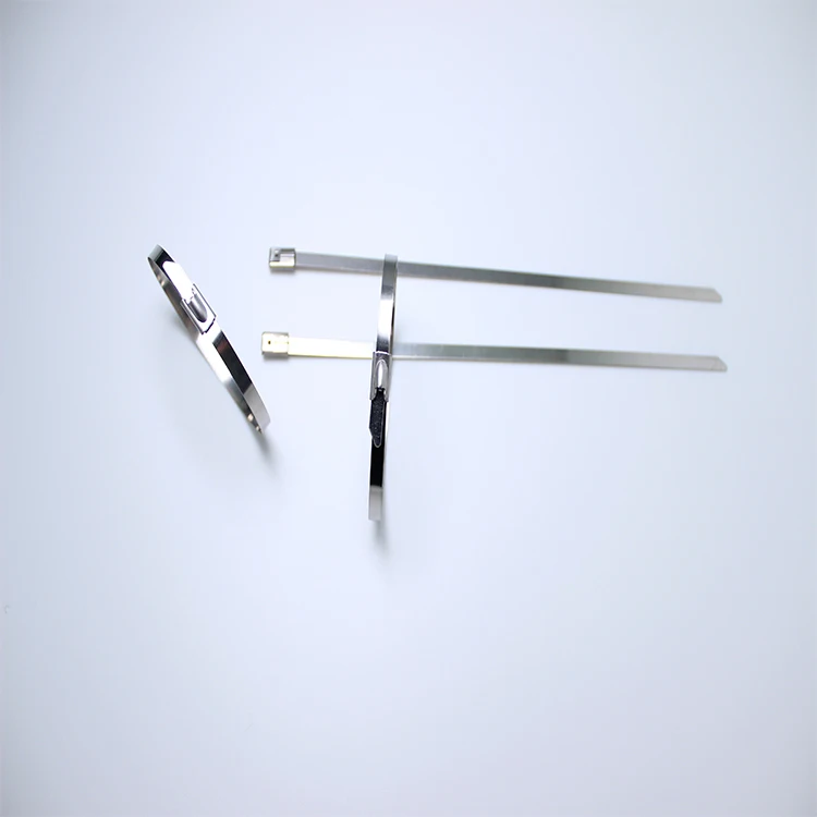 
Free Sample Full Size 304 316 Stainless Steel Cable Tie 