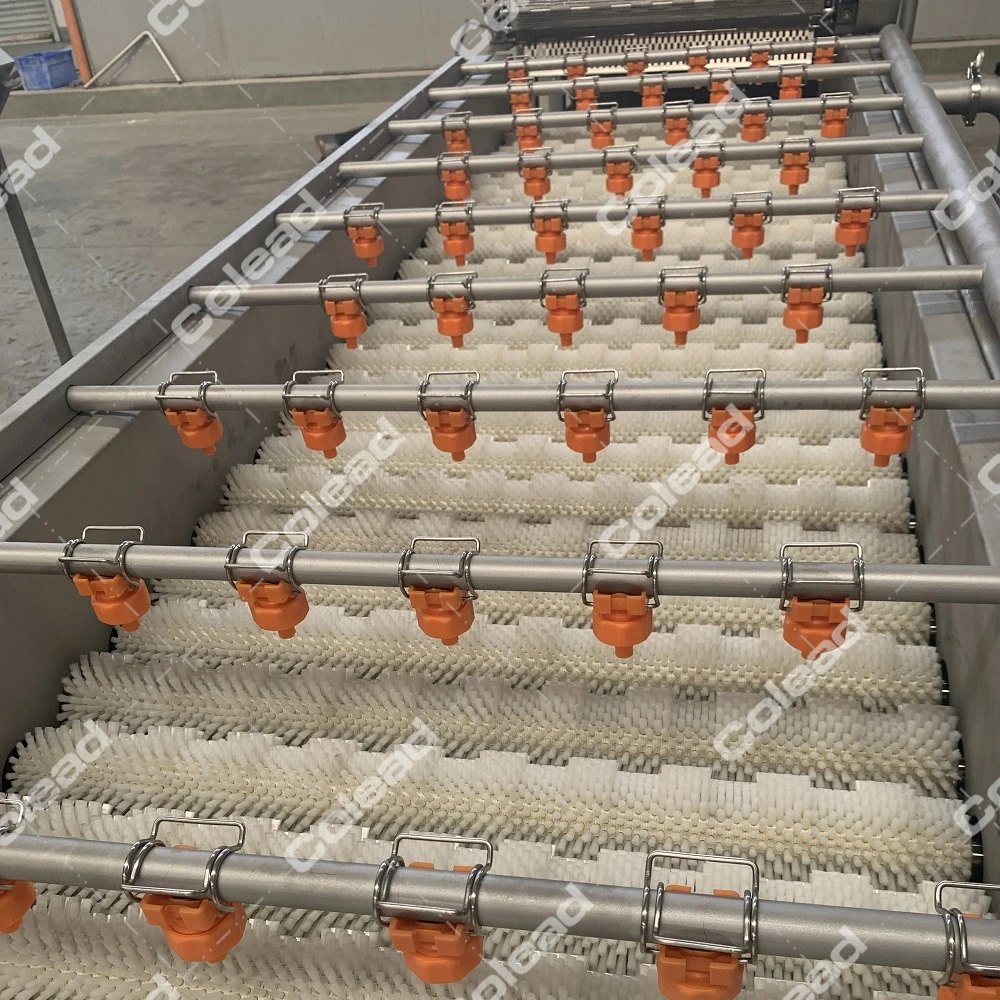 Date palm washing machine and cherry tomato washing machine from Colead