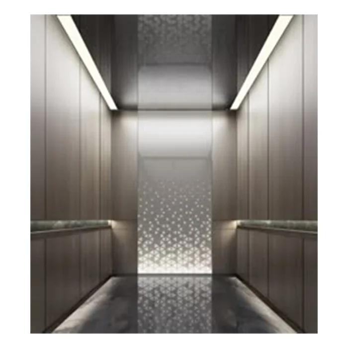 ZLE 2.5m/s Modernization Residential Passenger Elevator Lift 1000KG 13 Persons House Elevator