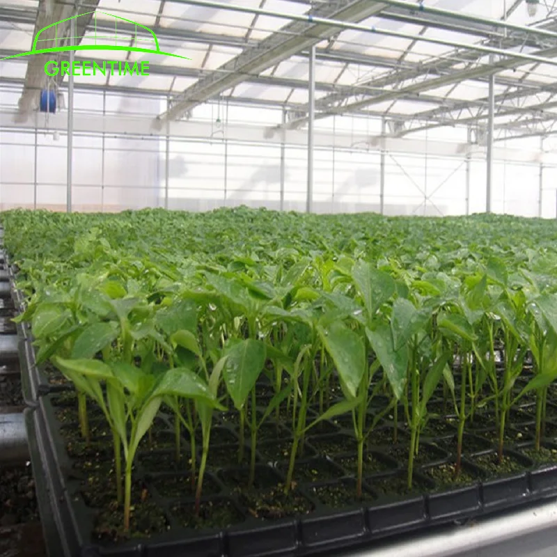 200 cells plastic  Plug seedlings pot dish for vegetable and flower in greenhouse