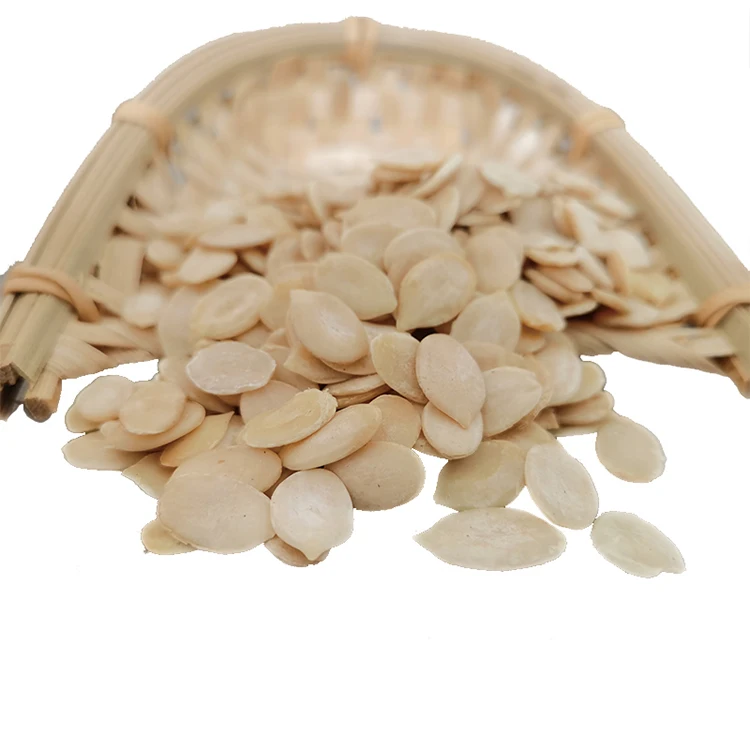 Factory direct new crop China raw factory supply dry water melon seeds kernel