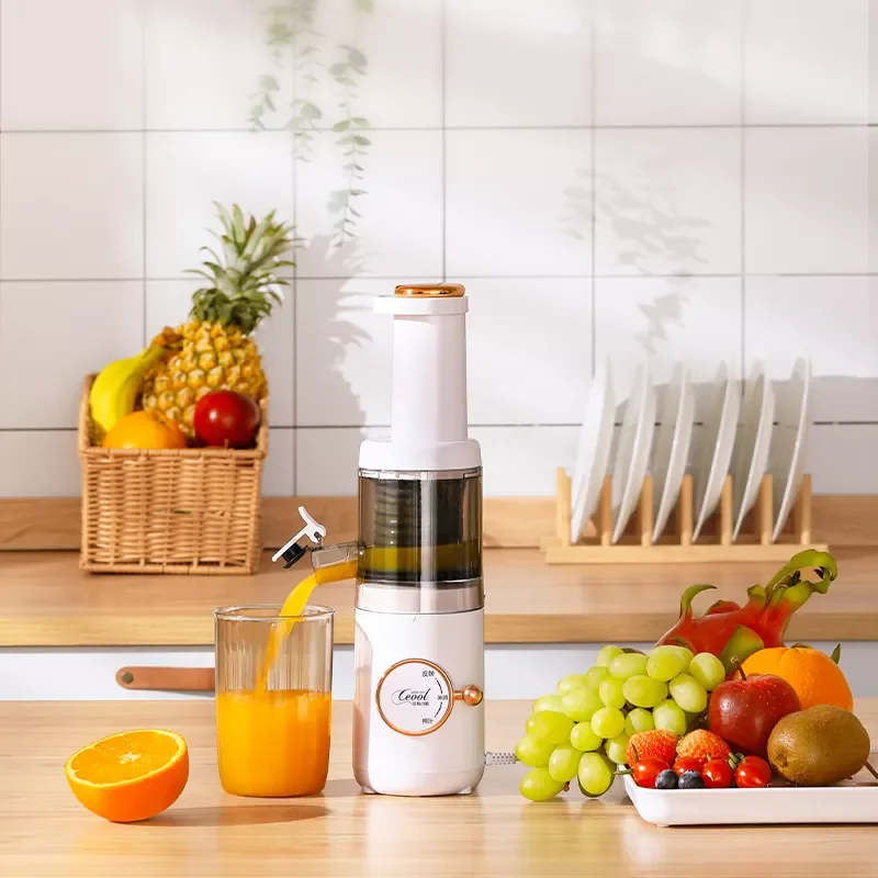 New design original juicer household automatic slag juice separation filter-free slow juicer