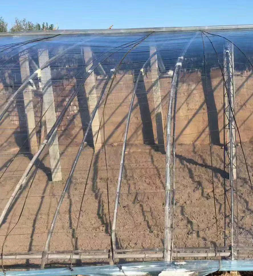 Профессиональная полиэтиленовая теплица Pe пленка для теплицы пластиковой пленки