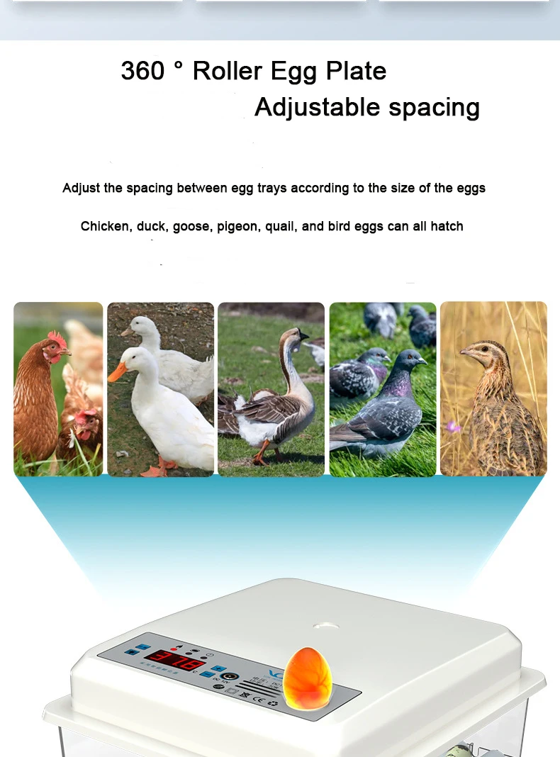 Factory Supplied High Hatching Rate Dual Power Multi-functional Incubators Hatching Eggs Automatic Egg Incubator For Eggs