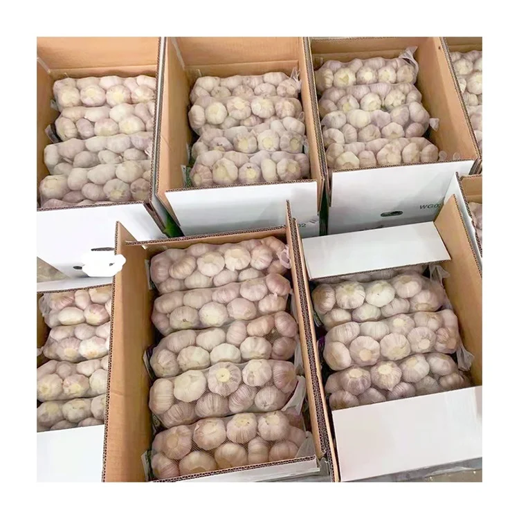 Garlic fresh natural white garlic 1kg net bag carton wholesale normal white garlic GLOBAL GAP