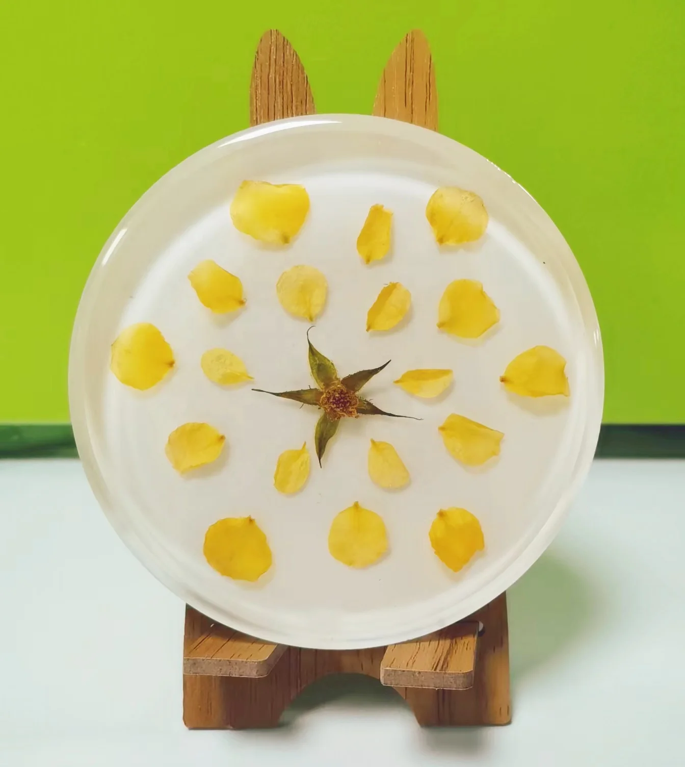 Dried Flower Resin Crystal Crafts Amber Mug Craft Crystal Tea Coffee Cup Coasters Resin Coaster