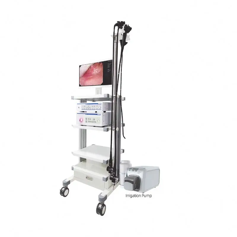 HD video gastroscope/colonoscope endoscope system with dyeing function medical equipment price