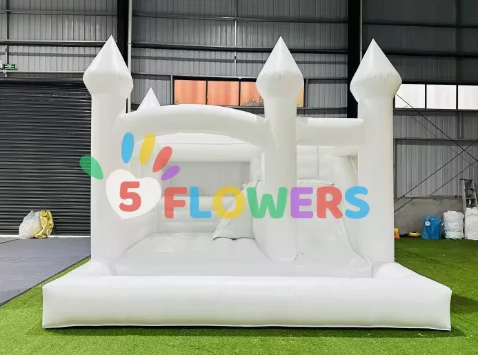 paste-pic-dp_uuid_cocwp