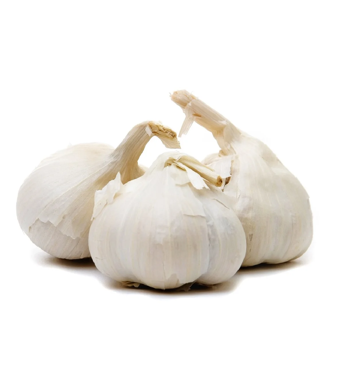 Non-GMO great taste food grade nutritious natural fresh vegetables from Uzbekistan fresh garlic for food