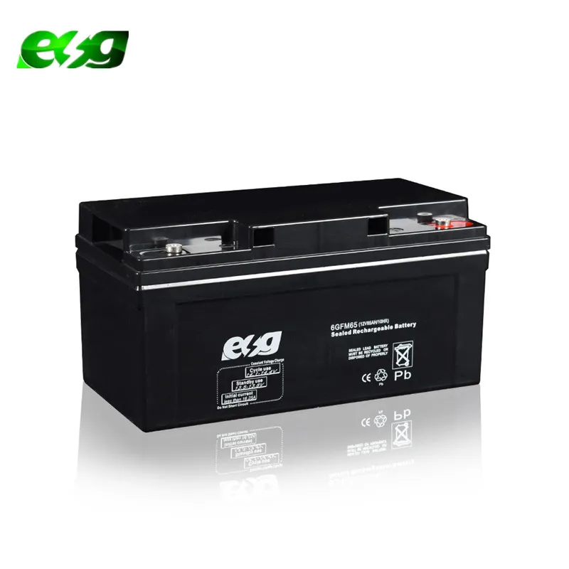 ESG High rate UPS backup Valve Regulated Lead Acid (VRLA) batteries 12V 65AH maintenance free battery 60AH