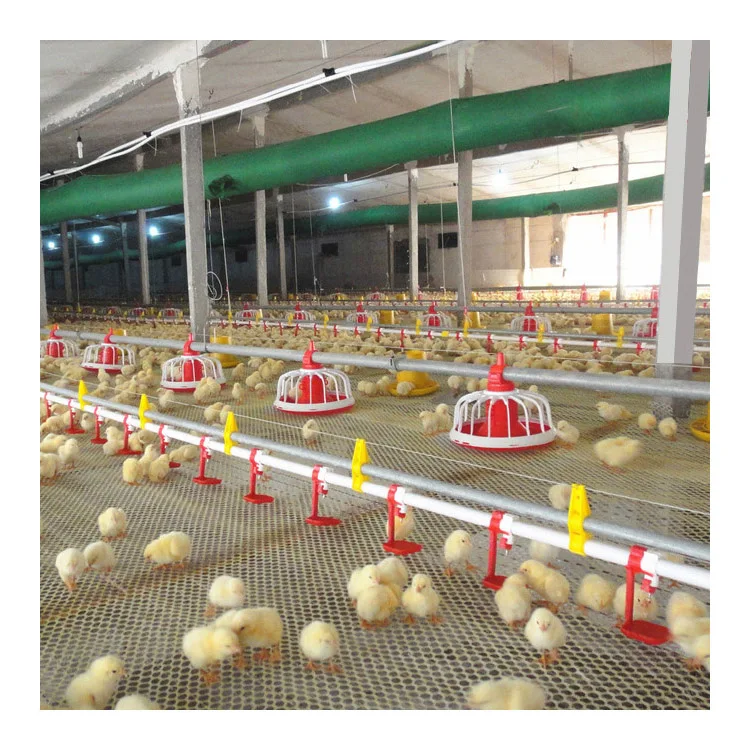 Chicken Feeder Breeder Auto Feeding Equipment / Female Feed Pan / Male Feed Pan