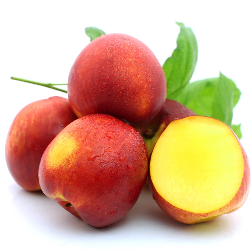 good quality fresh yellow pulp nectarine  FROM CHINA