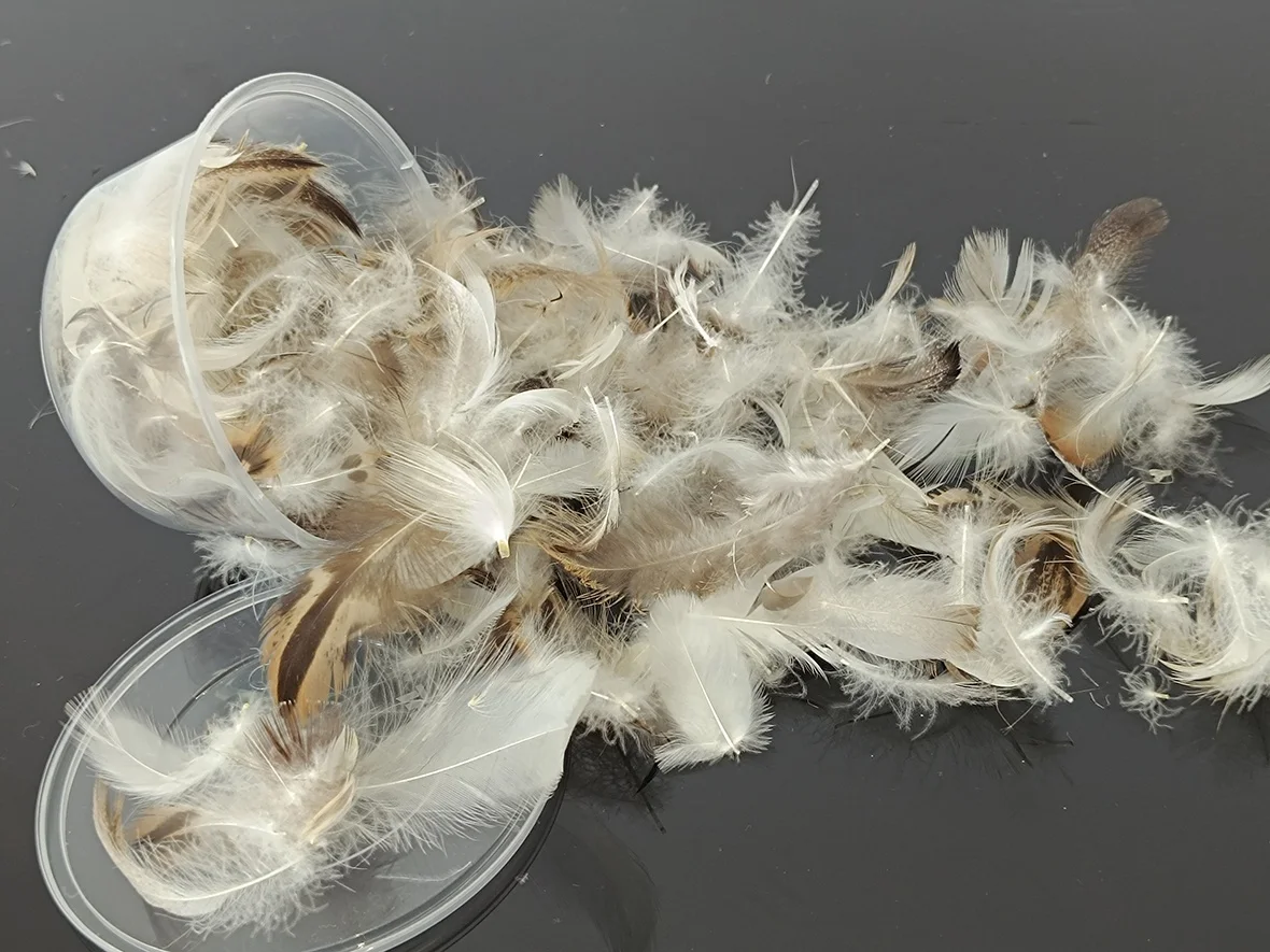Factory Directly Wholesale Mattress Pillow Filling Material 90% Washed Gray Duck Feather