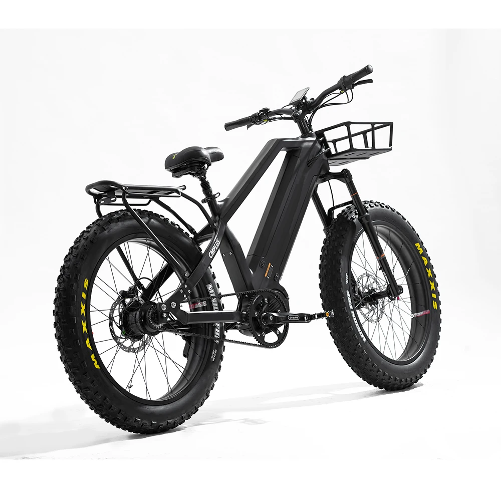 1000 Вт Rohloff 14-скоростная втулка 8 Забавный ремень шины Толстая шина E Bike с двумя батареями Электрический велосипед