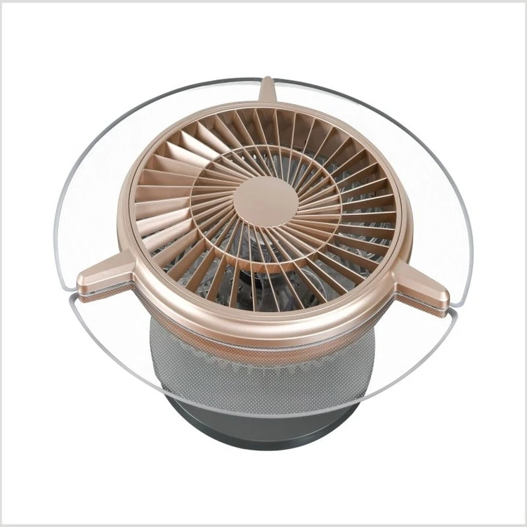 ceiling  fan  with  light